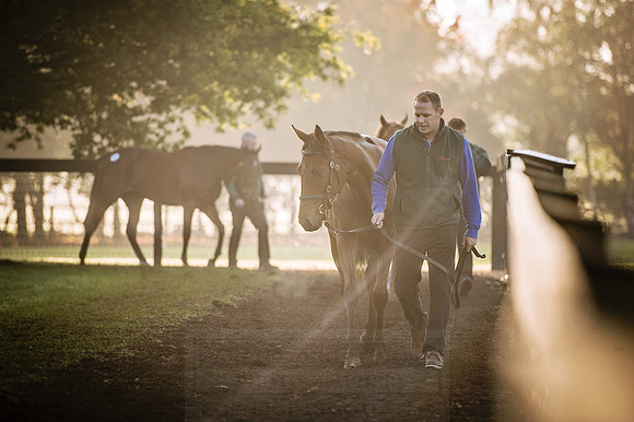 Goffs Orby 2015 -474