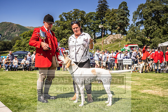 Rydal Hound Show 2022-131