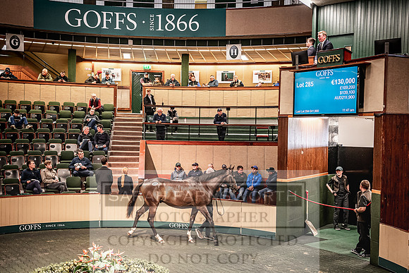 Goffs Land Rover Sale 2022-610