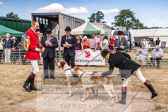 Honiton Hound Show 2022-66