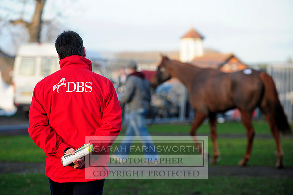 DBS NHFS12 127