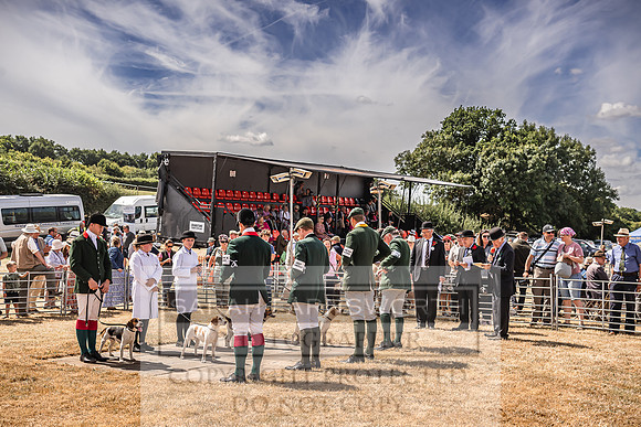 Honiton Hound Show 2022-117