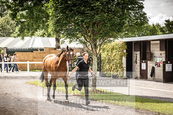 Goffs Land Rover Sale 2022-372