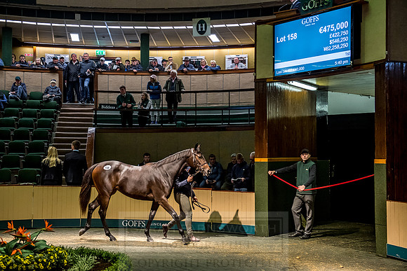 Goffs Orby 2018 Day 1-369