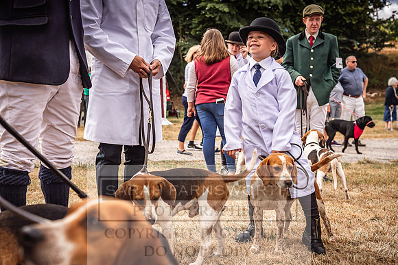 Honiton Hound Show 2022-39
