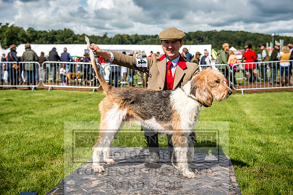 Lowther Hound Show 2017-65