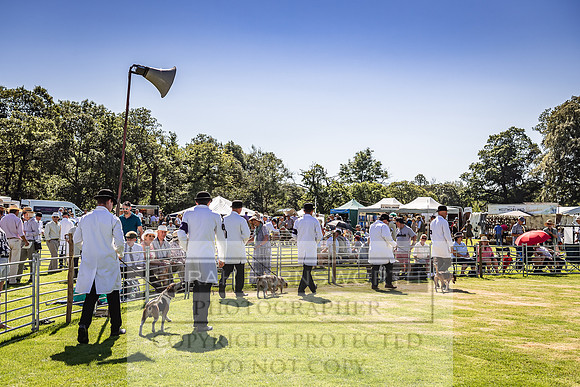 Rydal Hound Show 2022-32