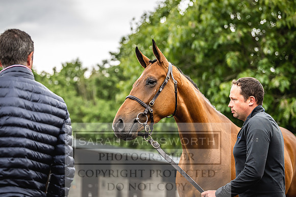 Goffs Land Rover Sale 2022-308