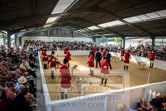 PFoH 2016-595