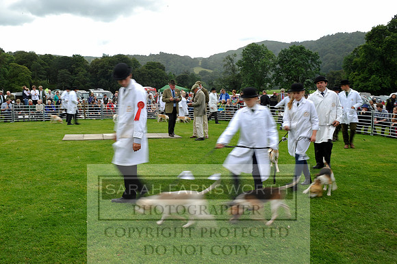 Rydal 2014 CF1 390