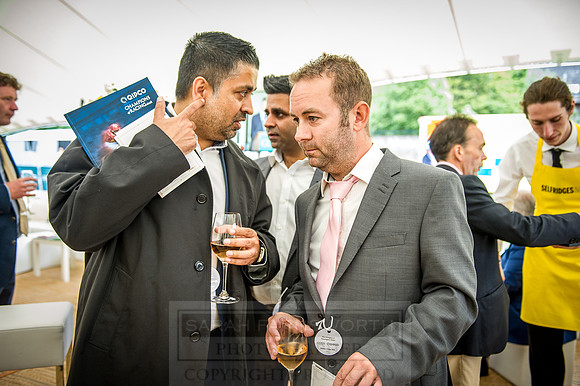 Goffs London Sale 2016-220