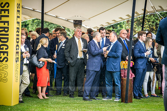 Goffs London Sale 2016-247