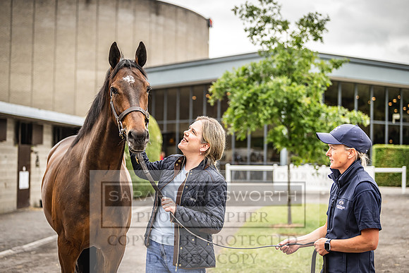 Goffs Land Rover Sale 2022-250