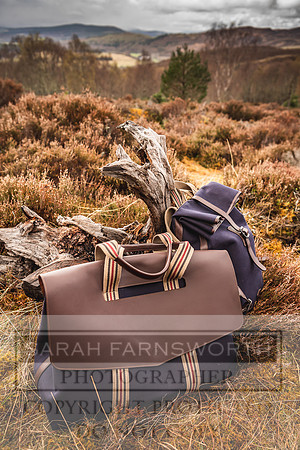 Purdey AW21-312