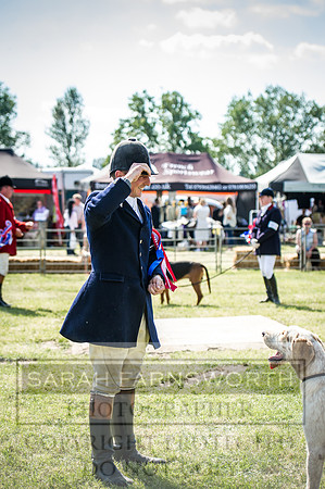 PFoH 2016-630