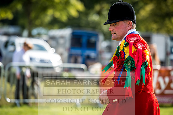 Lowther Hound Show 2017-113