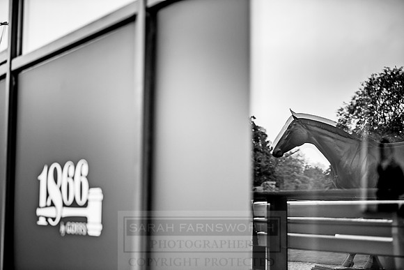 Goffs Orby 2018 Day 2-48
