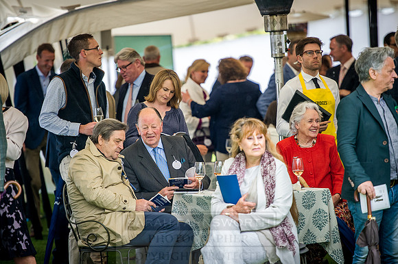 Goffs London Sale 2016-249