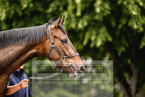 Goffs Land Rover Sale 2022-231