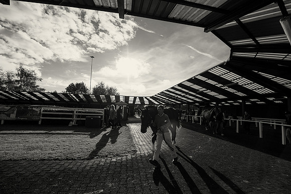 Goffs Orby14 CF8 143 bw