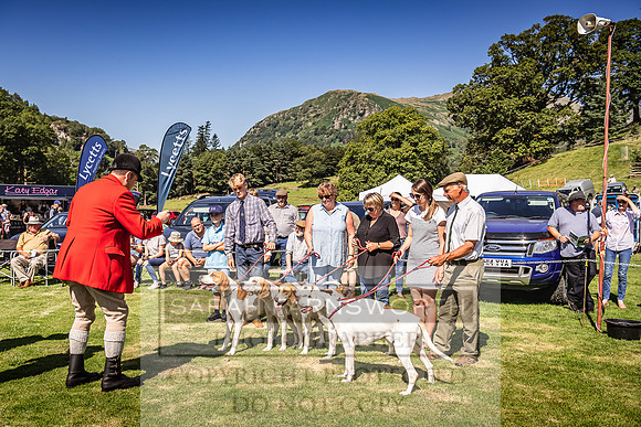 Rydal Hound Show 2022-42
