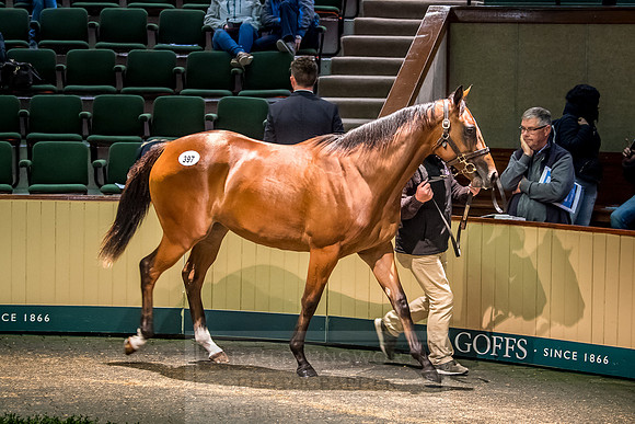 Goffs Orby 2018 Day 2-221