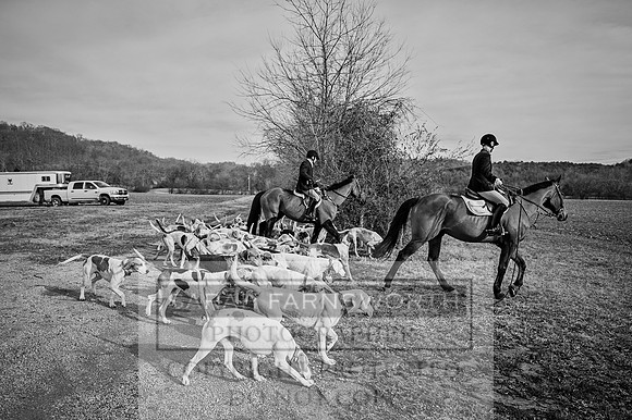 Mooreland & Live Oak-181 bw