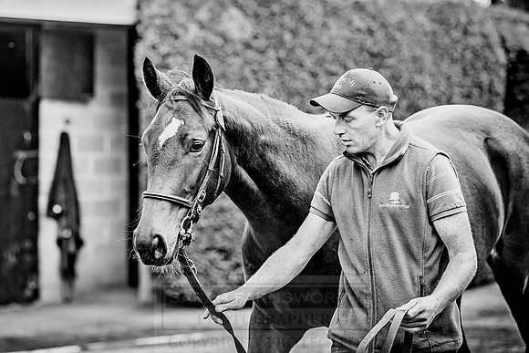 Goffs Orby 2018 Day 2-97