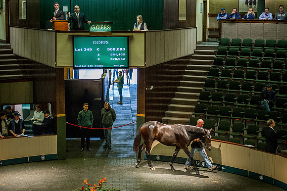 Goffs Orby 2015 -579