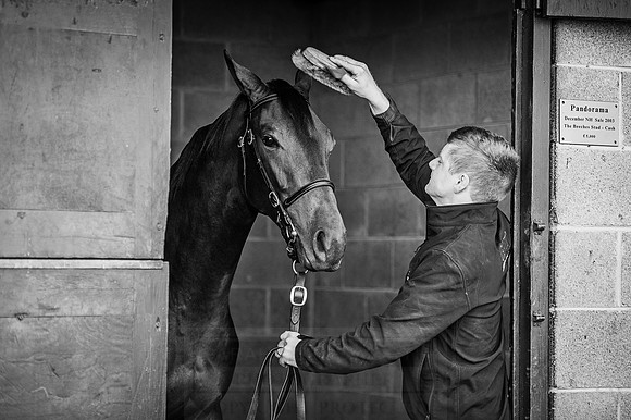 Goffs Orby 2015 -141 bw