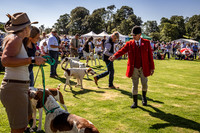 Rydal Hound Show 2022-14