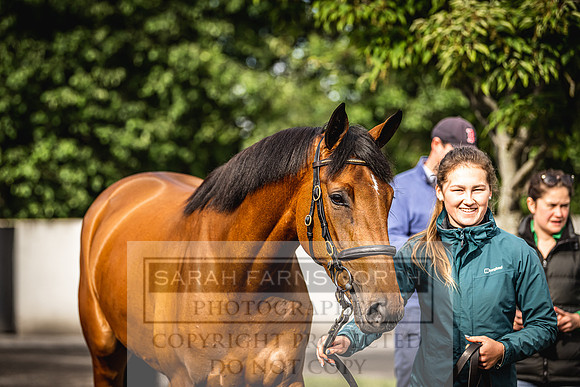 Goffs Land Rover Sale 2022-77