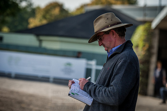 Goffs Orby 2015 -281