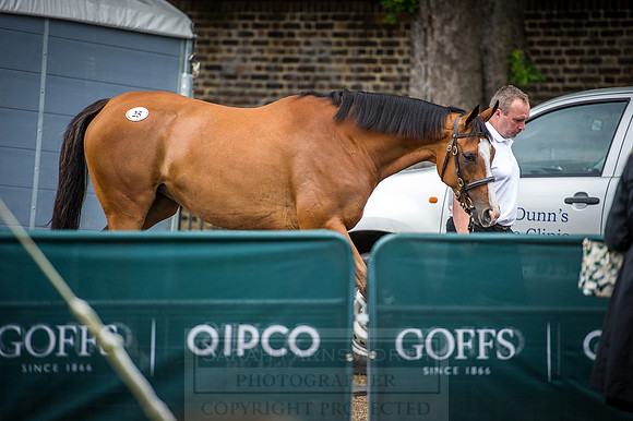 Goffs London Sale 2016-123