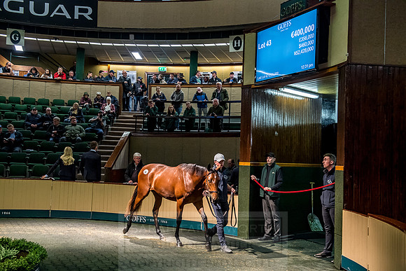 Goffs Orby 2018 Day 1-243