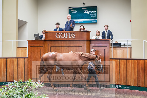 Goffs UK PY24-464