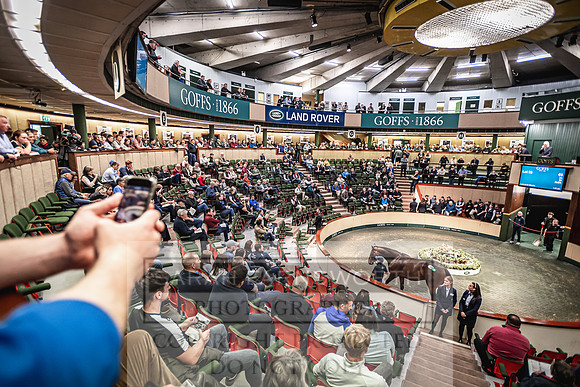 Goffs Land Rover Sale 2022-289