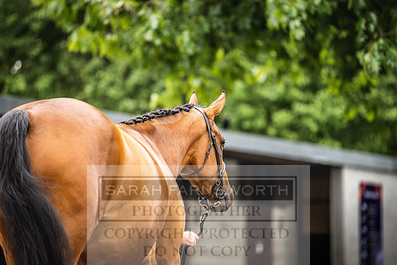 Goffs Land Rover Sale 2022-326