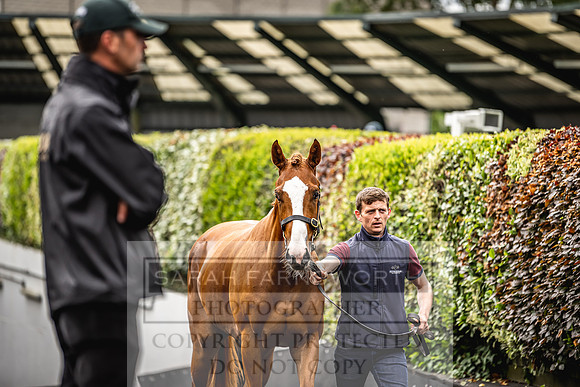 Goffs Land Rover Sale 2022-589