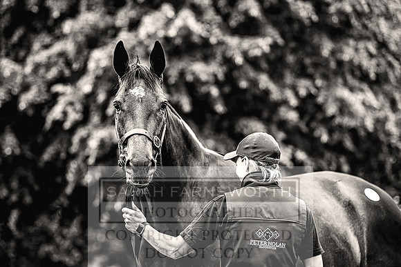 Goffs Land Rover Sale 2022-233