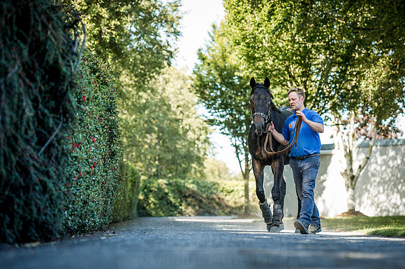 Goffs Orby 2015 -380