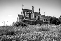 A House For Essex-18