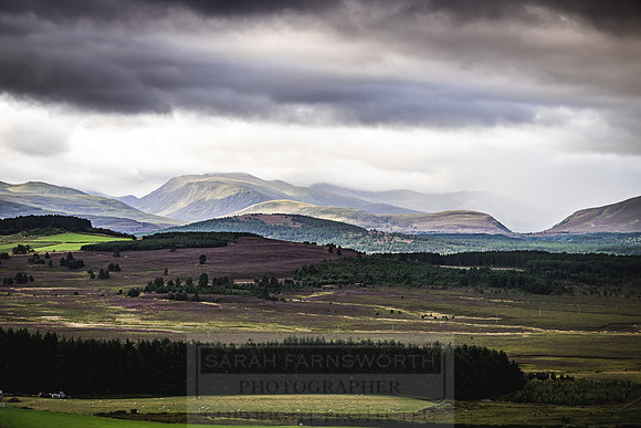Cairngorms in summer-1