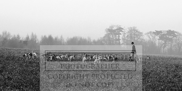 ECH 151209 08 BW