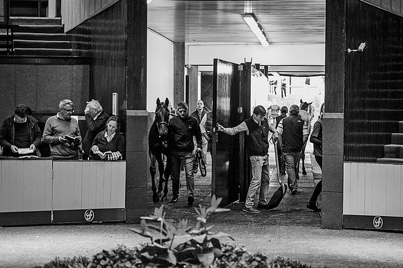 Goffs Orby 2015 -425 bw