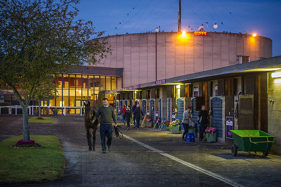 Goffs Orby 2015 -10