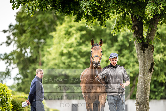 Goffs Land Rover Sale 2022-391