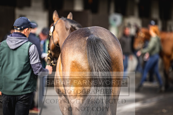 Goffs Land Rover Sale 2022-93
