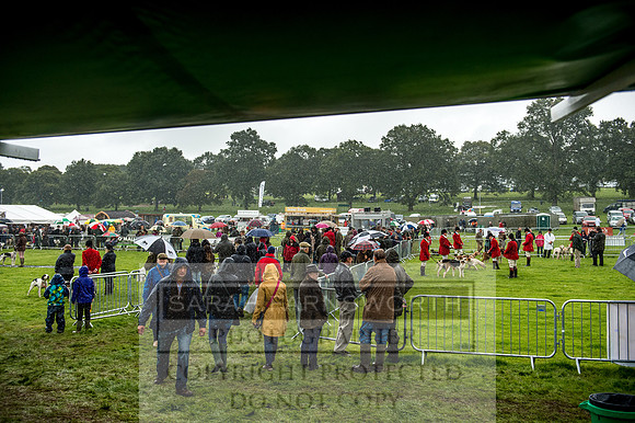 Lowther Hound Show 2017-12