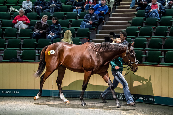 Goffs Orby 2018 Day 1-235